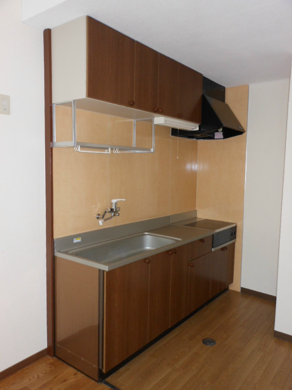 エバーグリーン21 キッチン