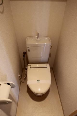 光彩 その他1