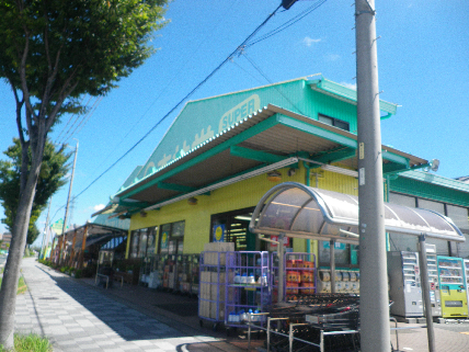 ライフ第5マンション大平台 周辺画像4