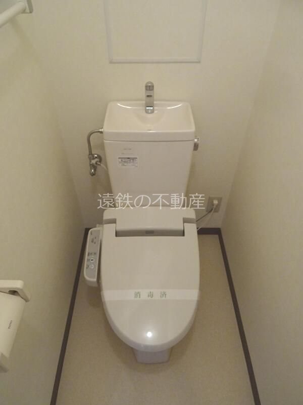 ペラルゴス その他1