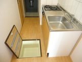 スカイリーフ その他4