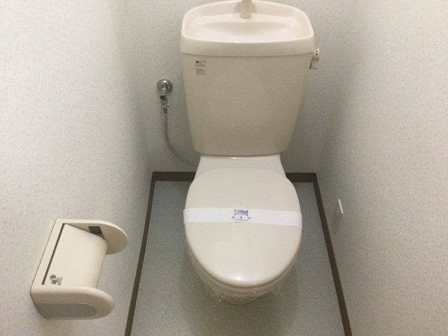 カトレア・シス その他2