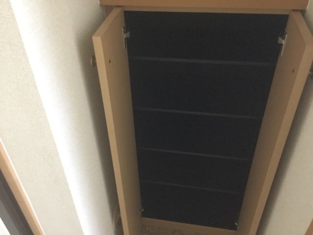 カトレア・シス その他3