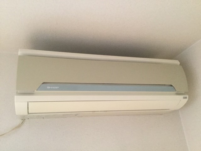 カトレア・シス その他5