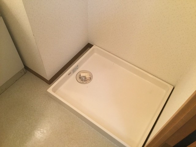 カトレア・シス その他7