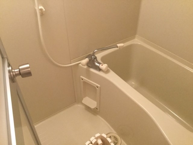 カトレア・シス 風呂画像