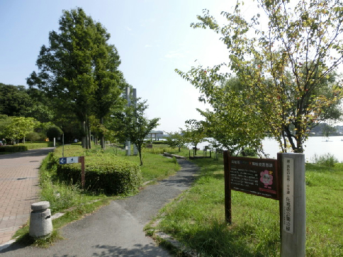 セイエンエステイト 公園