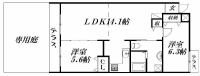 MSP住吉弐番館 間取り図