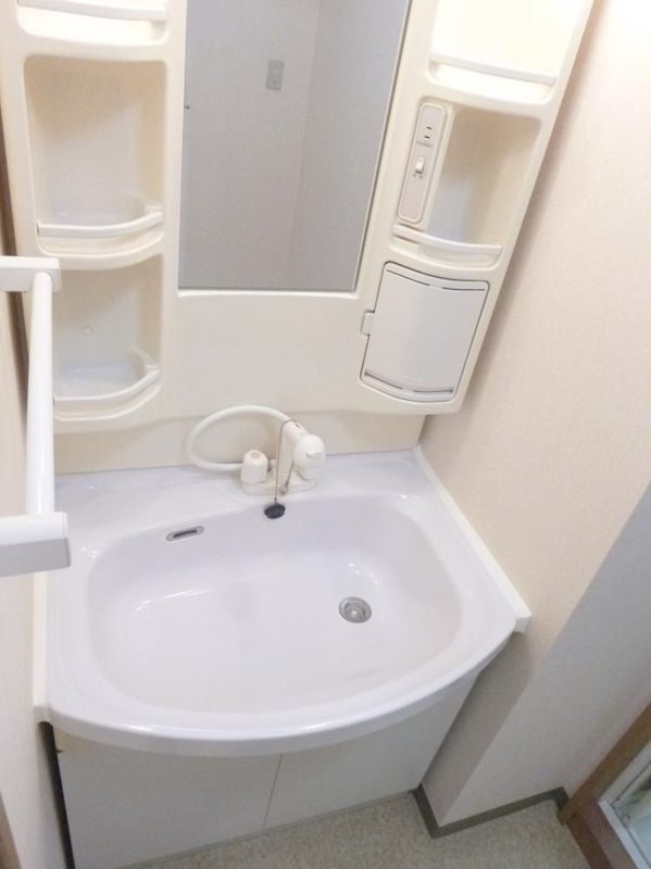 コスモス その他2