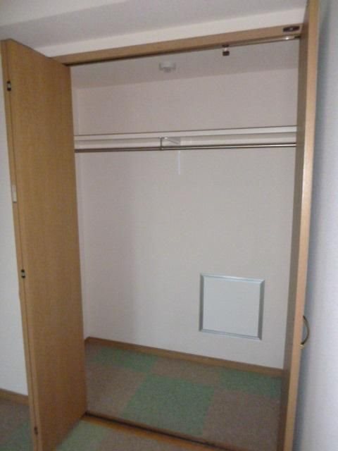 コスモス その他3