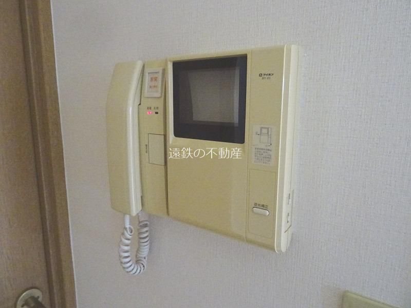 コスモス その他4