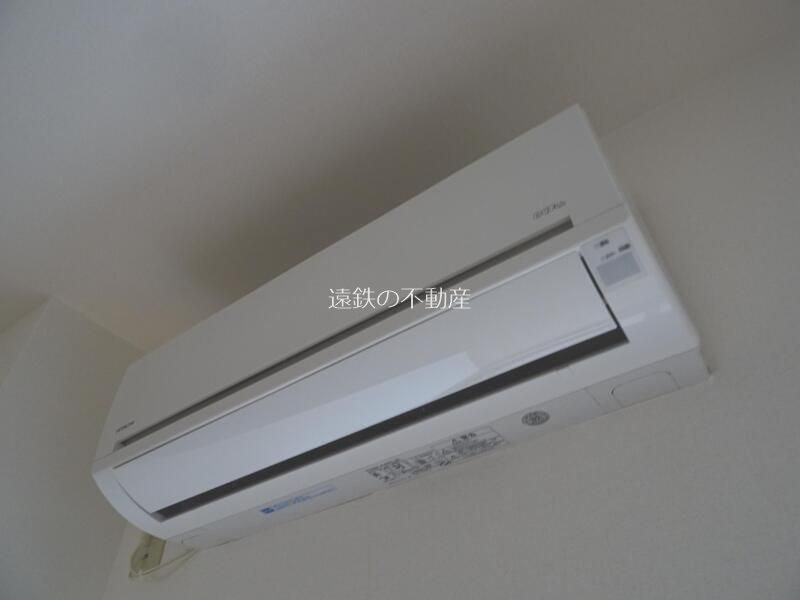 コスモス その他5