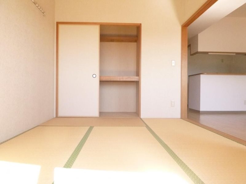 コスモス その他6