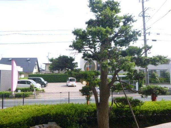 コスモス その他外観2