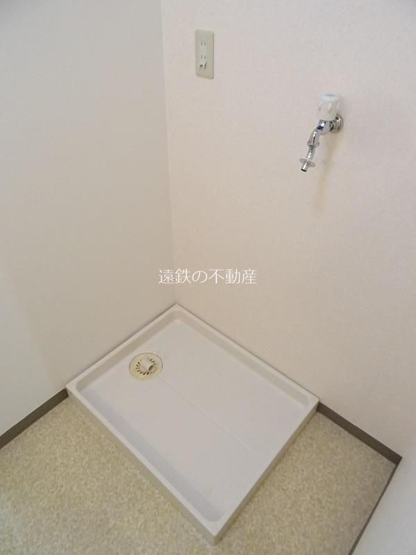 コスモス その他9