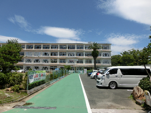 コスモス 周辺画像2