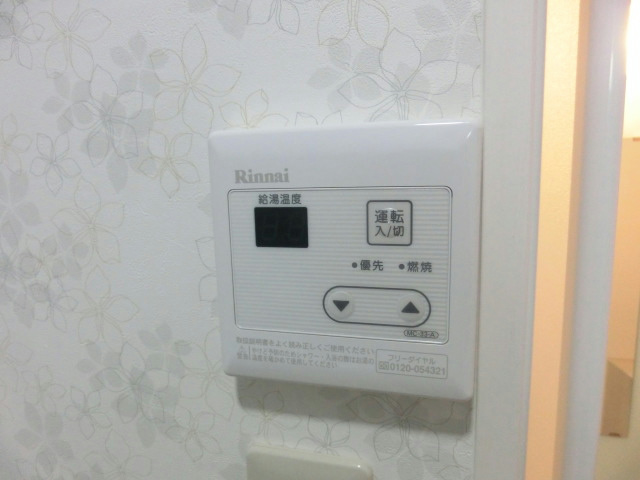 ローザンヌⅢ その他17