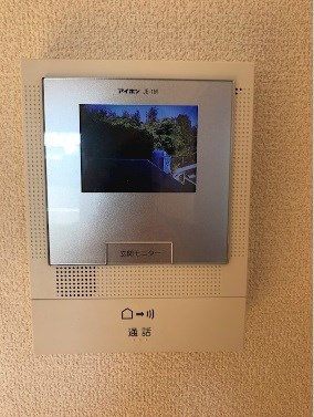 ピューピル有玉 その他1