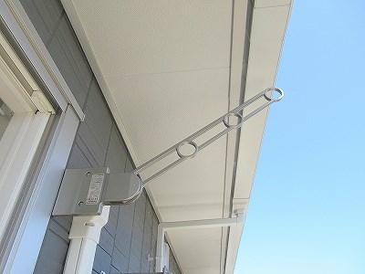 エヴァーグリーン その他7