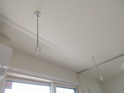エヴァーグリーン その他11