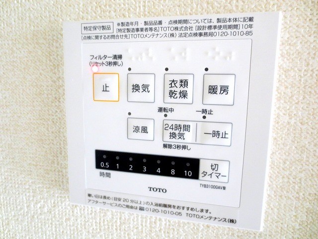 エヴァーグリーン その他16