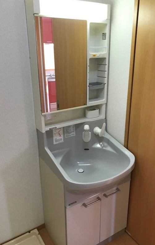ドミール和合 洗面所