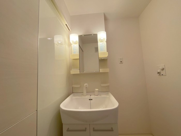 ミステル その他1