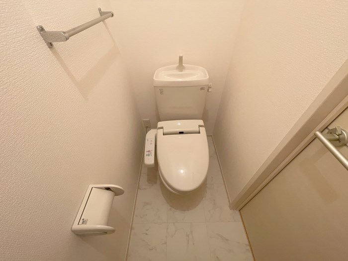 ミステル その他2