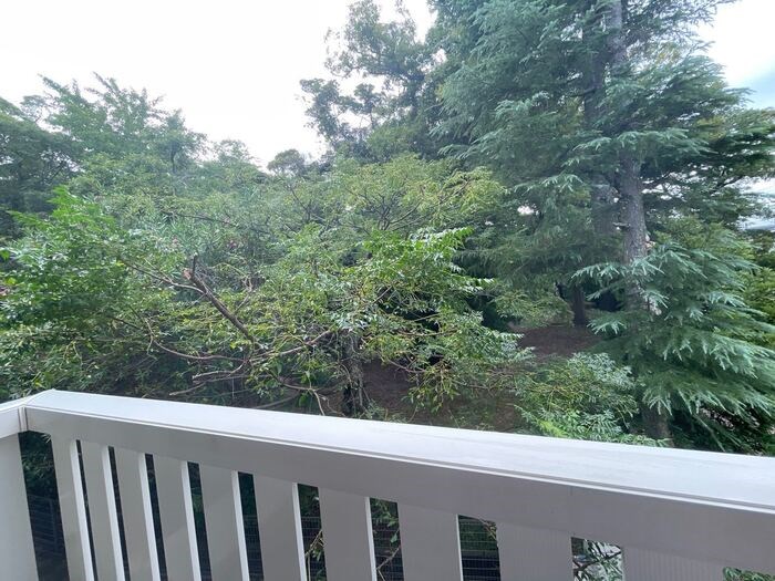 ミステル その他6