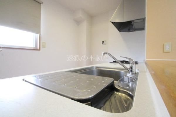 カトレア その他8