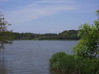 ハーベストヒルズ 公園