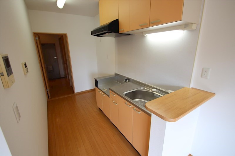 ラパノス その他8