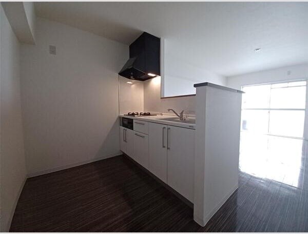 ローザンヌⅤ キッチン