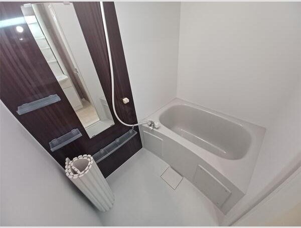 ローザンヌⅤ 風呂画像