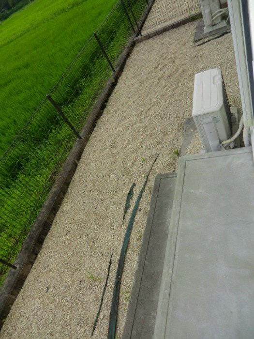 メイプルC その他6