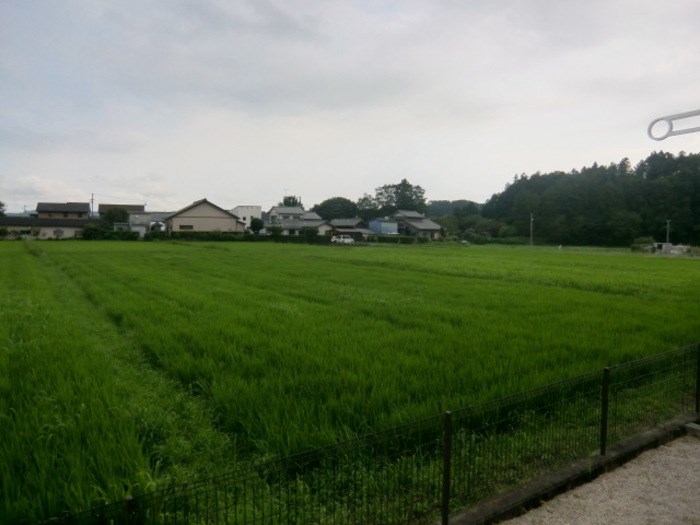 メイプルC その他7