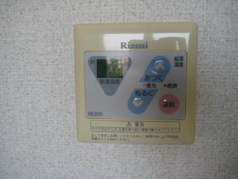 エレンシア・Ｎ その他