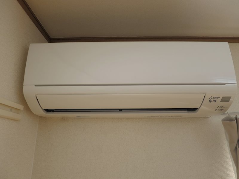 アバンダント初生 その他5