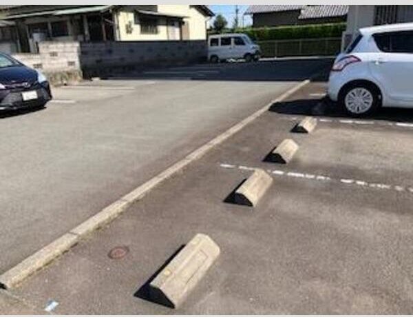 タンドレス その他