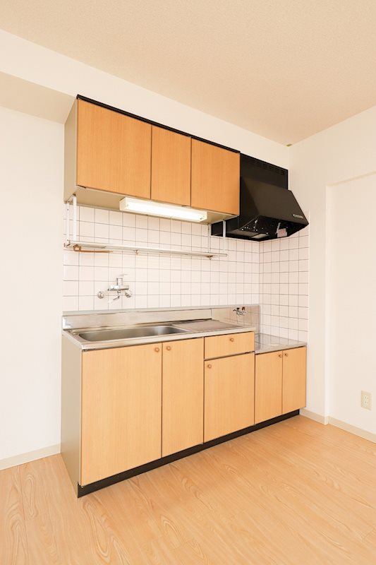 ヴィーブルオガイ キッチン