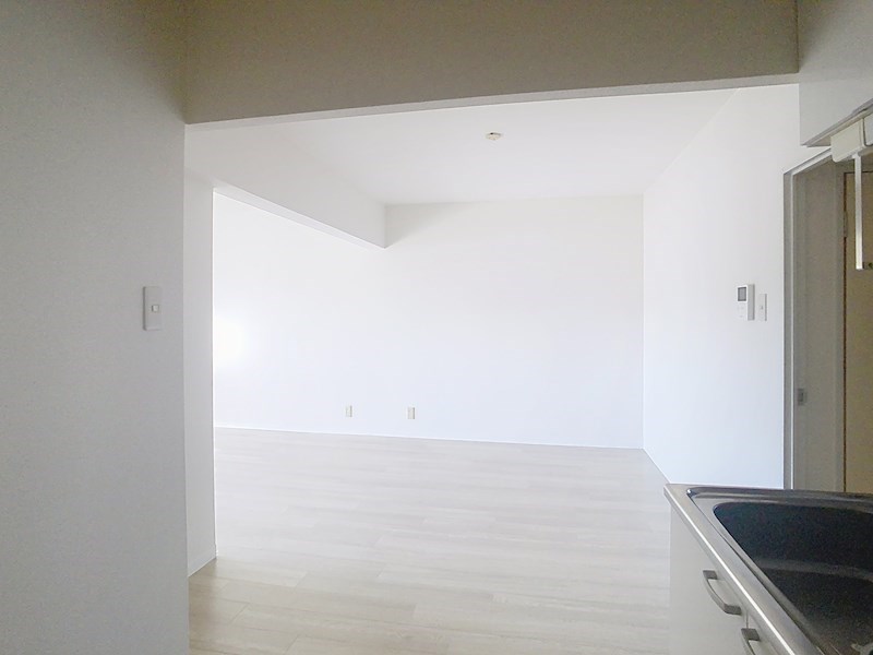 ミレーニア その他13