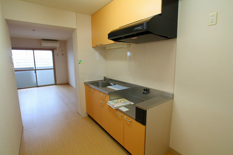 アモリールⅠ その他8