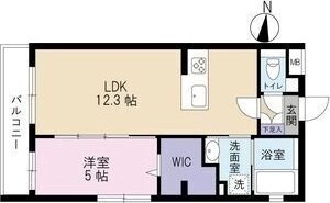 ライム海老塚 305号室 間取り