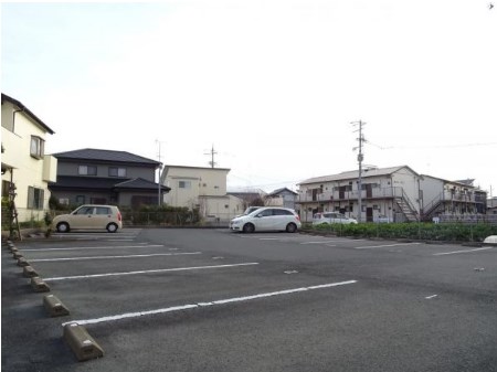 カルミア その他外観4