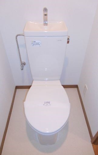 ブラウンコート その他1