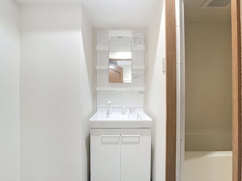 ピンキッシュ その他2