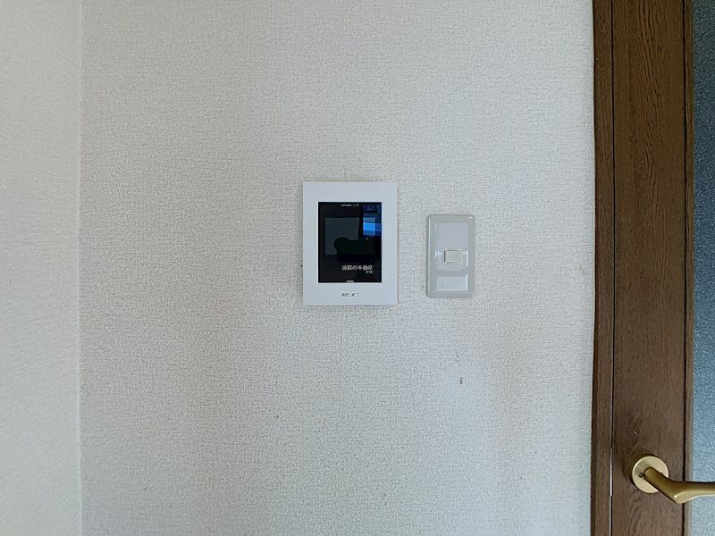 ピンキッシュ その他4