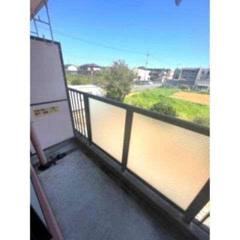 まえの花きゃべつ ベランダ