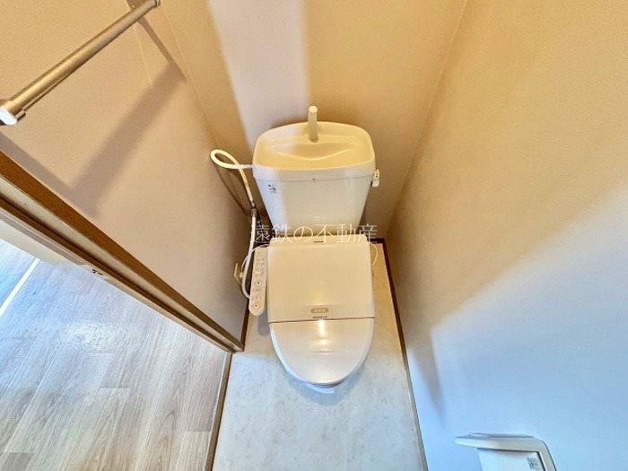 カモミール その他1