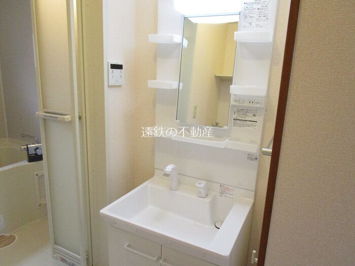 カモミール その他2